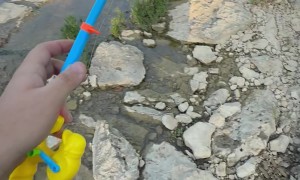 Toy Rod Quickly Catches Fish