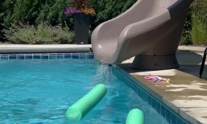 Surprisingly Intense Slide Doesn't Phase Niece