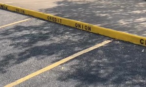 Credit Onion in Austin Texas
