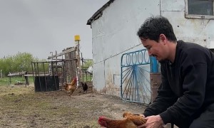 Can a Chicken Stabilize a Camera