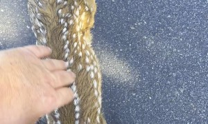 Kid Came Up to Me on My Walk