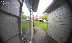 When the Neighbors Let Their Teenagers Drive