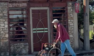 Man Pushes Small Puppy In Wheelchair