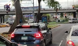 Spider Man Seen Swinging From a Tree in Panama