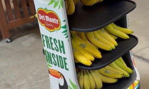 Robot Named Pineapple Selling Bananas