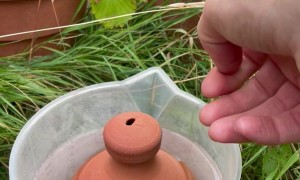 Thumb-Controlled Watering Pot