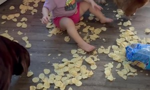 Toddler Makes a Mess Behind Mom's Back
