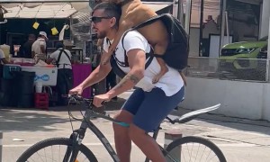 Dog on Owner's Back Riding a Bike