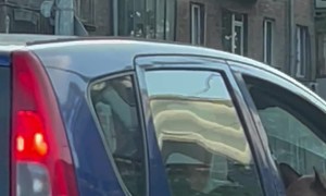 French Bulldog Passenger Sits With Some Serious Swag