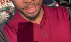 Bees Done Took Over My Car