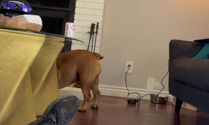 Duncan Drops Some Subtle Hints