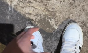 Helping Remove a Can From a Stray Cat