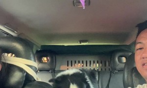 No Kisses on His Watch!