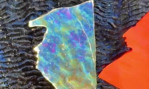 Broken Glass Shards Look Like Trump's Profile