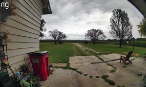 She Didn't Like the Turkey's