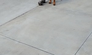 Betty Is Pumping Iron Today