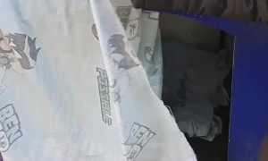 Dog Rests While Cuddling Toy