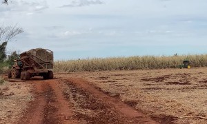 Reasonably Priced Tractor Is Comically Small