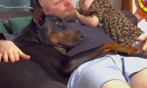 Dad Cuddles Dog and Daughter Before Bed