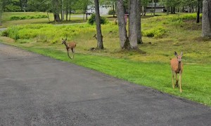 Calling My Girls Over to Eat