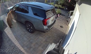 Lake Tahoe Bear Lets Herself in Vehicle With Cub