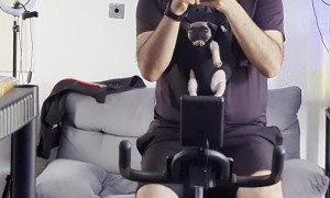 My Faithful Gym Puppy