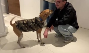 Owner and Pup Reunited After Two Years