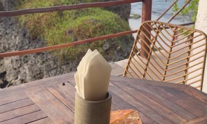 Monkey Ravages the Dinner Table