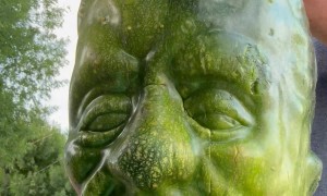 Double Faced Pumpkin Grown in a Mold