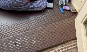 Homeless Sleeping Outside of New Home