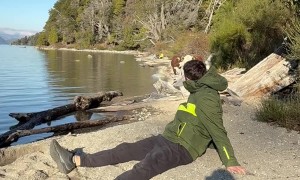 Sleeping Man Awoken By Mooing Beach Cow