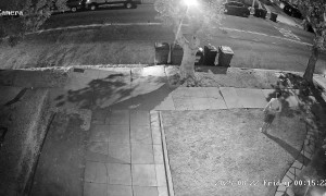 Neighbors Try To Help Screaming Stranger At Midnight