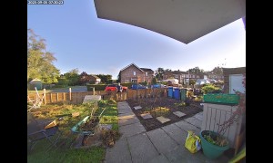 Broken Gate Means Trick Shot Delivery