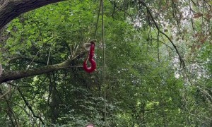 Man Shows Off Impressive Knot Skills