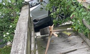 Car Drives Over Tree and Crashes Into Backyard