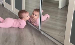 Niece Falls in Love With Reflection