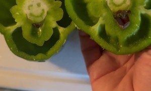A Happy Pepper