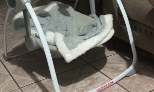 Absentmindedly Putting The Empty Rocker To Sleep