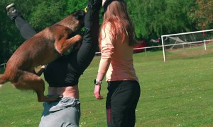 Dog Goes for the Wrong Balls