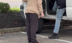 Does She Want a Ride or Not?