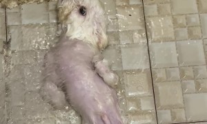 Jack the Cross Eyed Takes a Bath