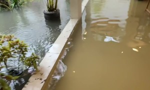 Villa Flooded in Bali