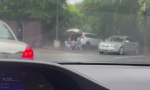 Elderly Couple's Parking Lot Picnic