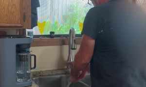 Butcher Calls Out Fake Beef