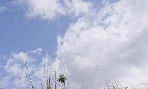 Flying Tent Spotted in the Sky