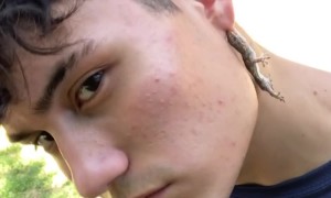 Little Lizard Makes for a Chic Earing