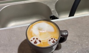 Woman Becomes Sad When Customer Prefers Coffee With No Latte Art