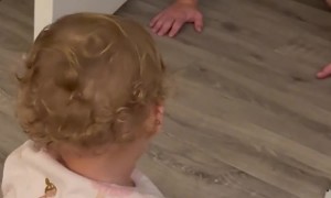 Toddler Eats a Spider