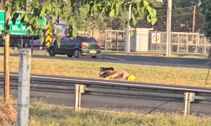 Roadworks Mannequin Having A Monday In The Median
