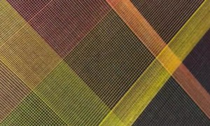 Colorful Silk Thread Art